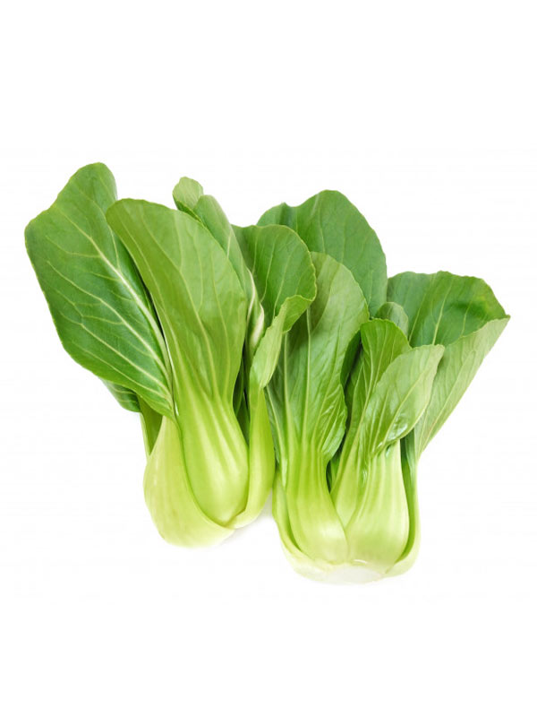 Chinese Rayo