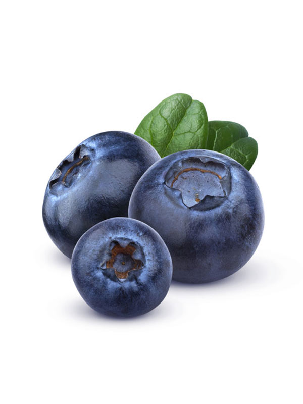 Blueberry (ब्लुबेरी)
